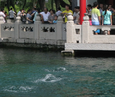 連續降雨為濟南泉水注入活力