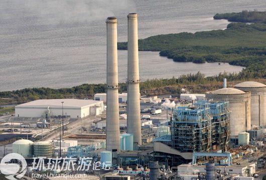 揭美國核電站鱷魚成群之謎