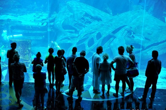 探秘迪拜一夜二十萬(wàn)奢華客房?jī)?nèi)景 房間多的數(shù)不清