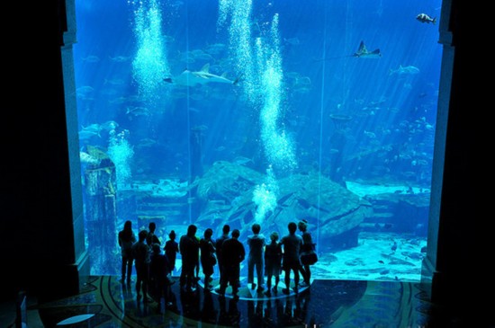 探秘迪拜一夜二十萬奢華客房內景 房間多的數不清