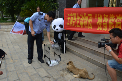 挽留熊貓公益行獲森警支持 云南野生動物園透露將如何“挽留熊貓”