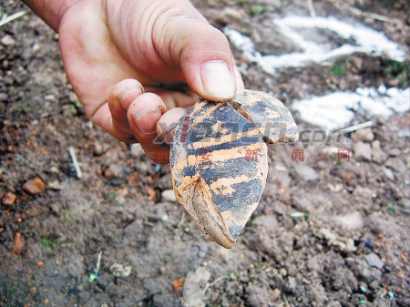 南鄭考古新發現 揭秘新石器時代如何裝修