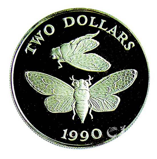 硬幣上的動物世界：蝙蝠鯧性情嬌羞