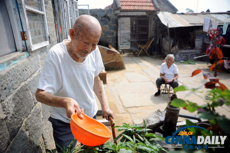 山東乳山：“橡樹婚”夫妻攜手第83個七夕節