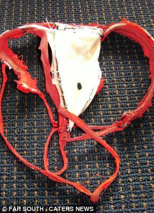 胖狗超重四人抬 懷孕男再獲真愛