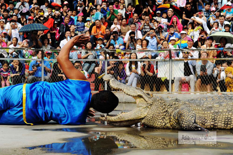 《中國日報》國慶特刊精選：9月30日—10月7日