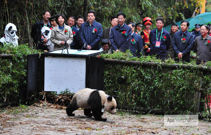 《中國日?qǐng)?bào)》一周圖片精選：10月8日-10月12日