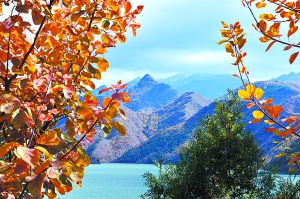 北京供熱辦：下周如遇寒流可隨時(shí)供熱 不會(huì)多收費(fèi)