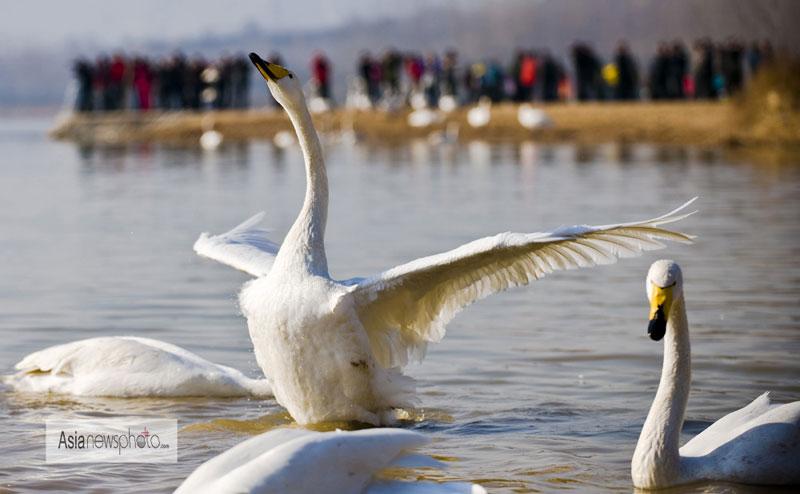 《中國日報》一周圖片精選:12月8日-12月14日