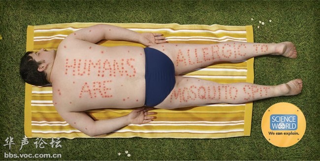 蚊子最喜歡藍色 這25個科學冷知識你了解多少？
