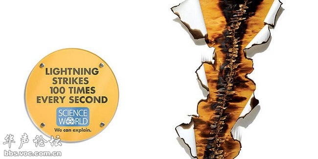 蚊子最喜歡藍色 這25個科學冷知識你了解多少？