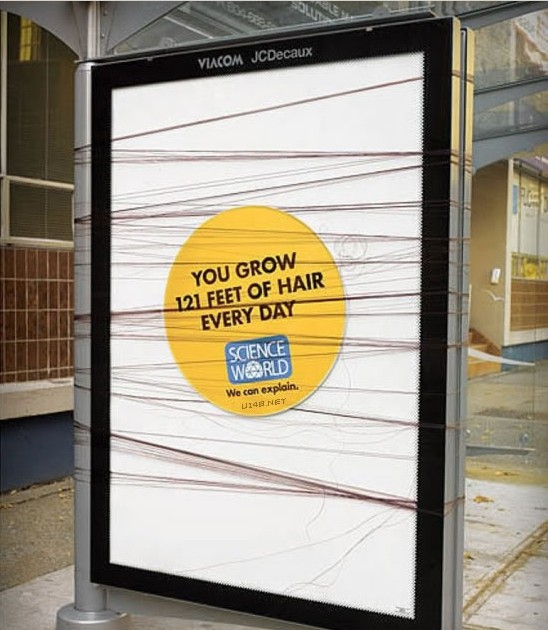 蚊子最喜歡藍色 這25個科學冷知識你了解多少？