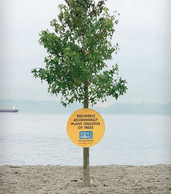 蚊子最喜歡藍色 這25個科學冷知識你了解多少？