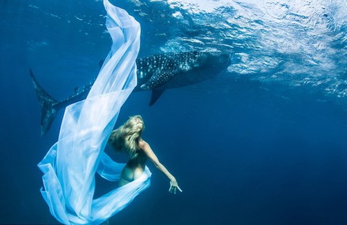 海底視覺盛宴：超模與鯊魚驚艷共舞