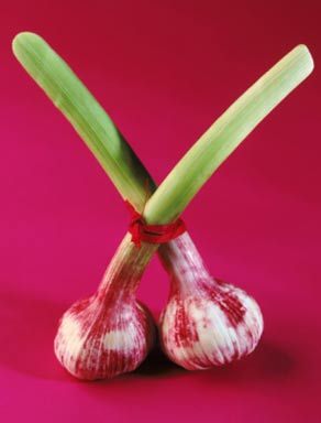 養生：大蒜抗癌蘋果改善心血管 8大長壽食物（圖）