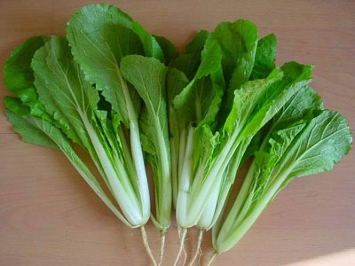 養生：大蒜抗癌蘋果改善心血管 8大長壽食物（圖）