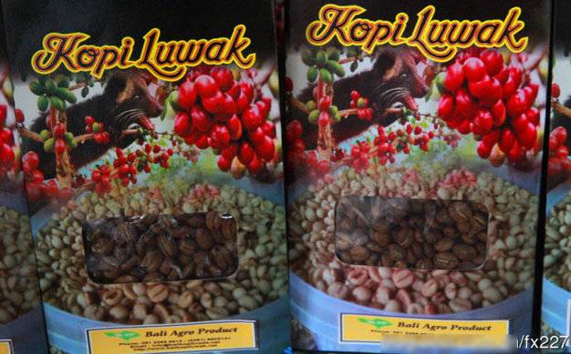 盤點動物糞便的奇妙用途