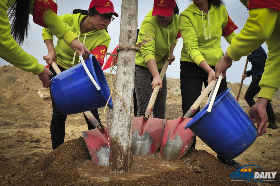 《中國日報》聚焦“3·12”植樹節圖片精選