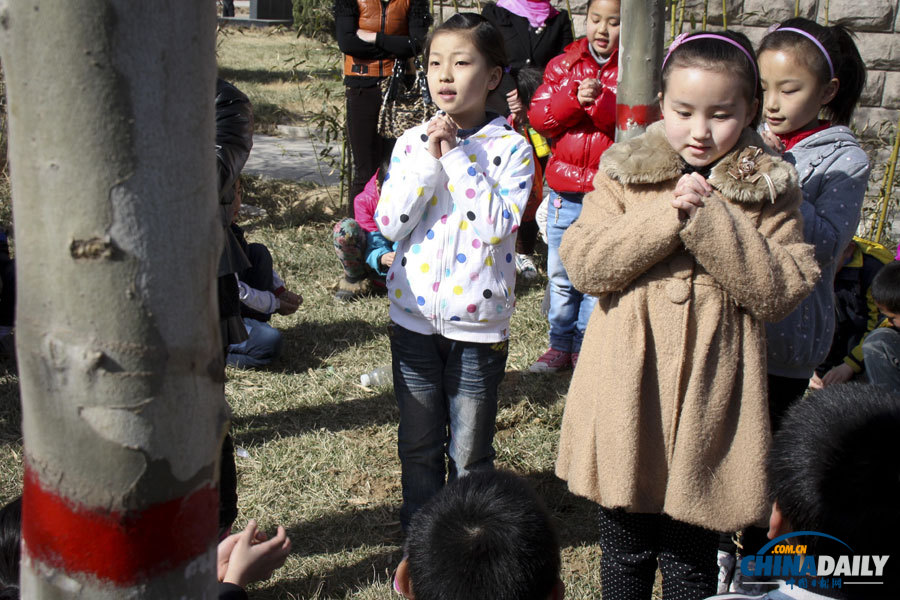 《中國日報》聚焦“3·12”植樹節圖片精選