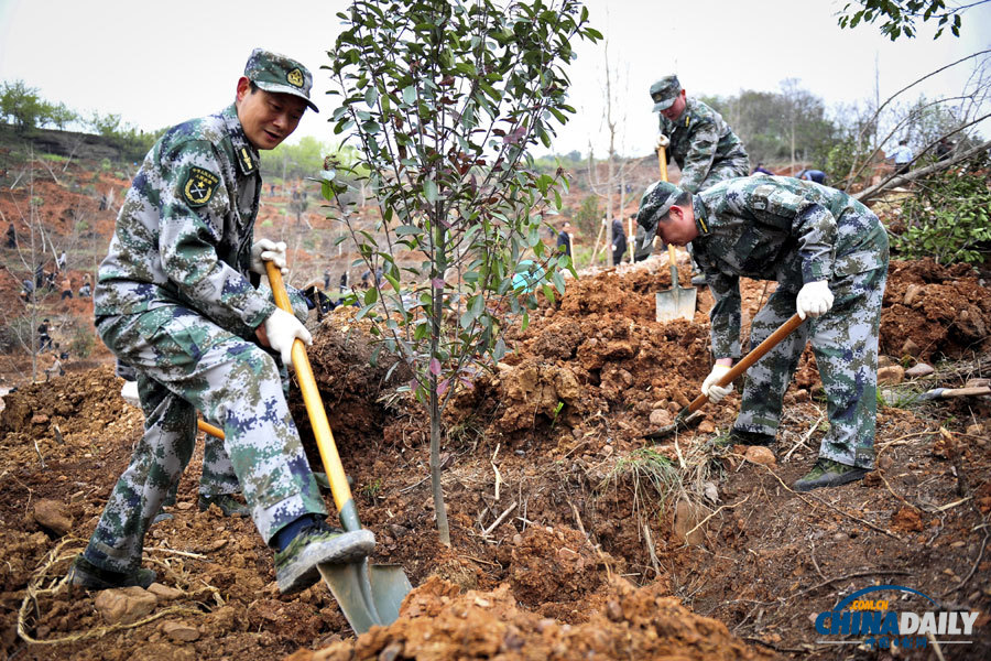 《中國(guó)日?qǐng)?bào)》聚焦“3·12”植樹(shù)節(jié)圖片精選