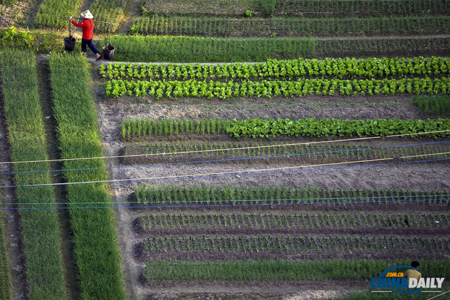 聚焦美麗中國之“春天在哪里”