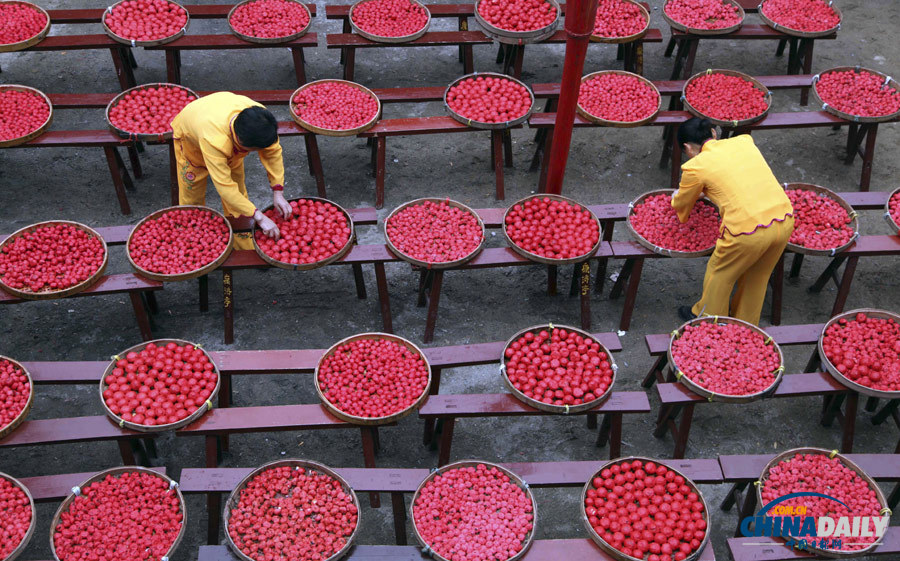 《中國日報》聚焦“二月二”民俗活動圖片精選