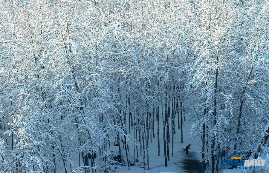中國日報直擊北京三月春雪