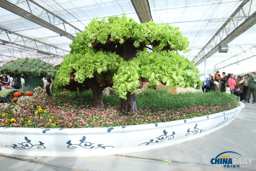 首屆“北京農業嘉年華”活動舉行