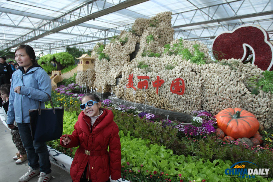 首屆“北京農業嘉年華”活動舉行