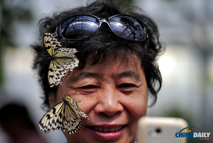 北京植物園蝴蝶生態(tài)園開門迎客