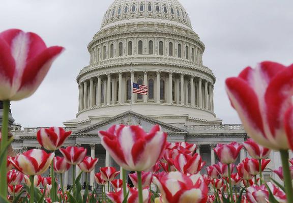 裝滿炸藥壓力鍋是“元兇” 現場可疑者照片引熱議