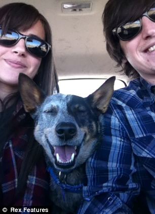 快到鼻子上來(lái)！超萌狗狗身懷絕技 鼻子啥都能頂