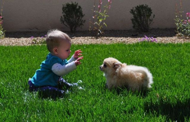 笑到肚子痛的搞怪瞬間