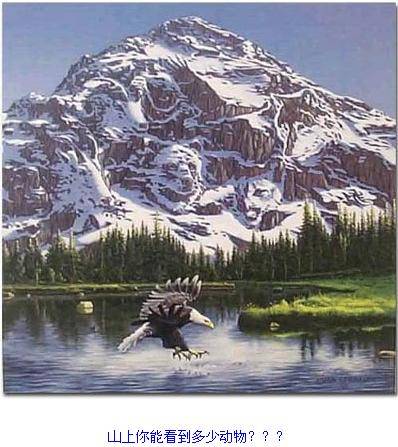 瘋狂的圖片！ 測測你的心理和眼力