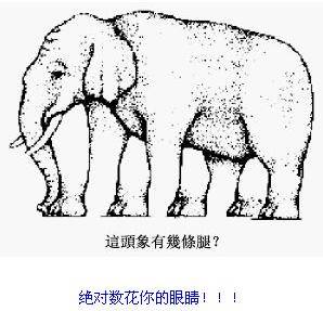 瘋狂的圖片！ 測測你的心理和眼力