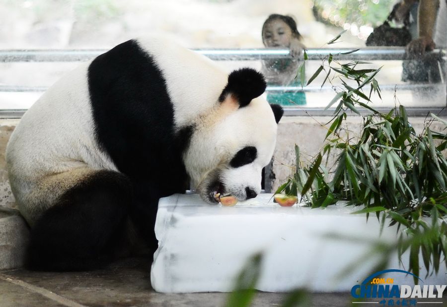 中國日報一周圖片精選：6月15日—21日