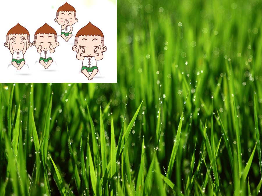 “做個健康的白領麗人”：職業女性辦公室生活小貼士