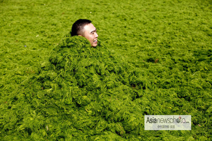 中國日報一周圖片精選（6月29日—7月5日）：高溫襲京