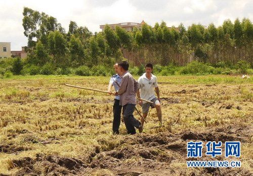 廣東高州：外省人員打砸派出所 強行帶走兩警察