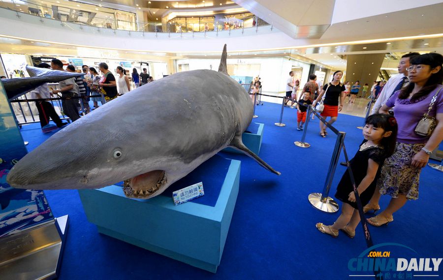 中國日報一周圖片精選（7月6日—12日）：強(qiáng)臺風(fēng)“蘇力”來襲