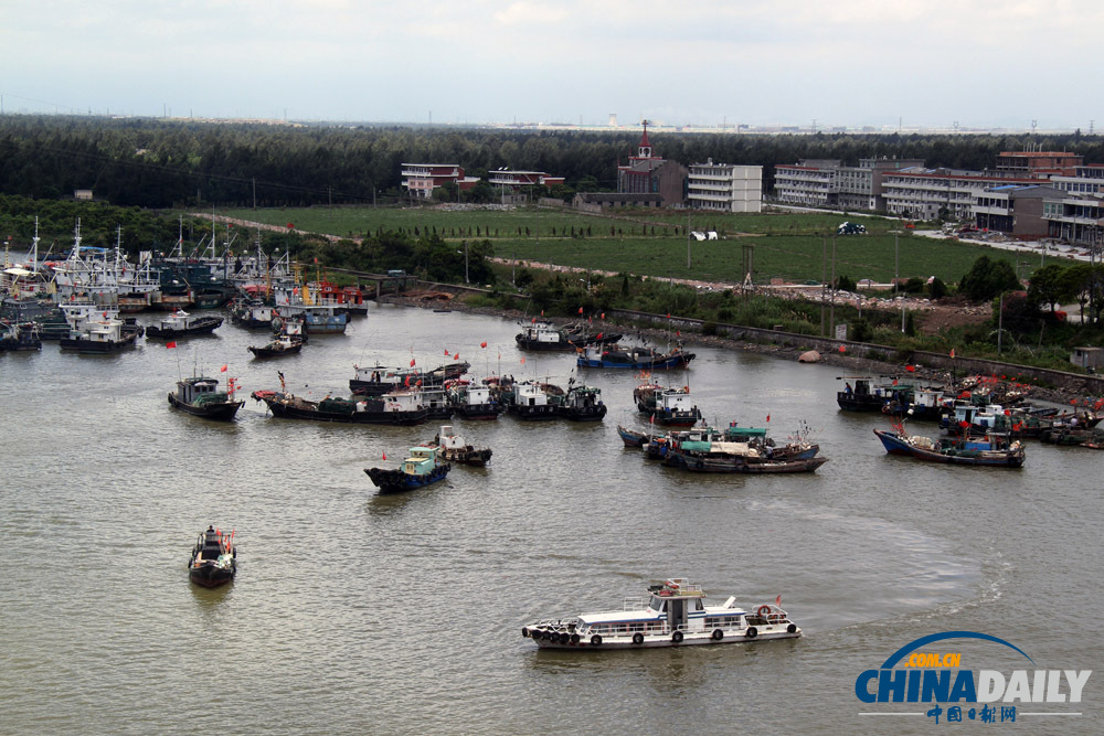 浙江臺(tái)州：“蘇力”退去 漁船齊出閘