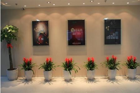 銘藏軒品牌發展 收藏品行業進入圈地時代