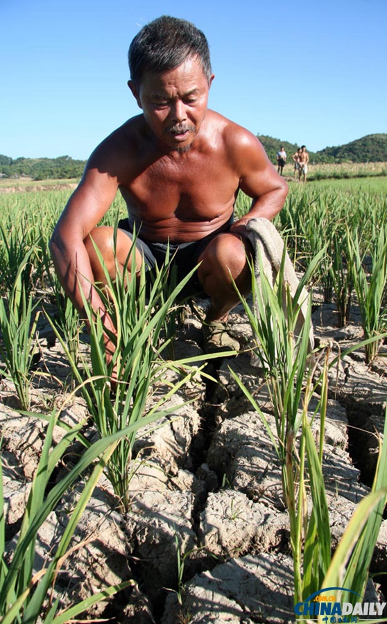 高清：湖南邵陽旱情持續發展 4萬人出現飲水困難