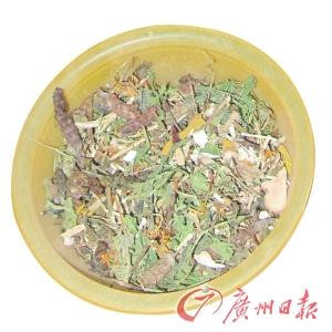 醫托團伙被端 瘋狂斂財誘正規醫院醫生護士入伙