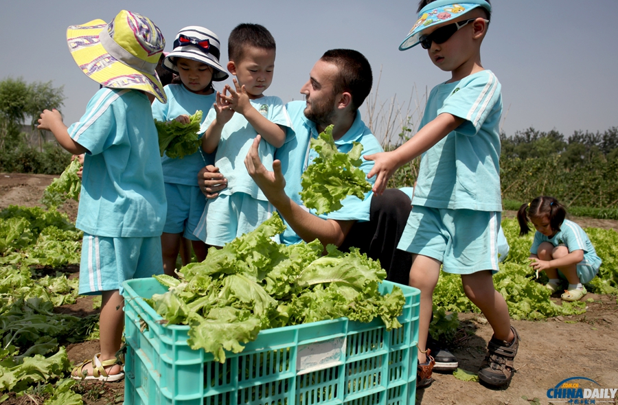 北京：幼兒園小朋友體驗(yàn)種植蔬菜