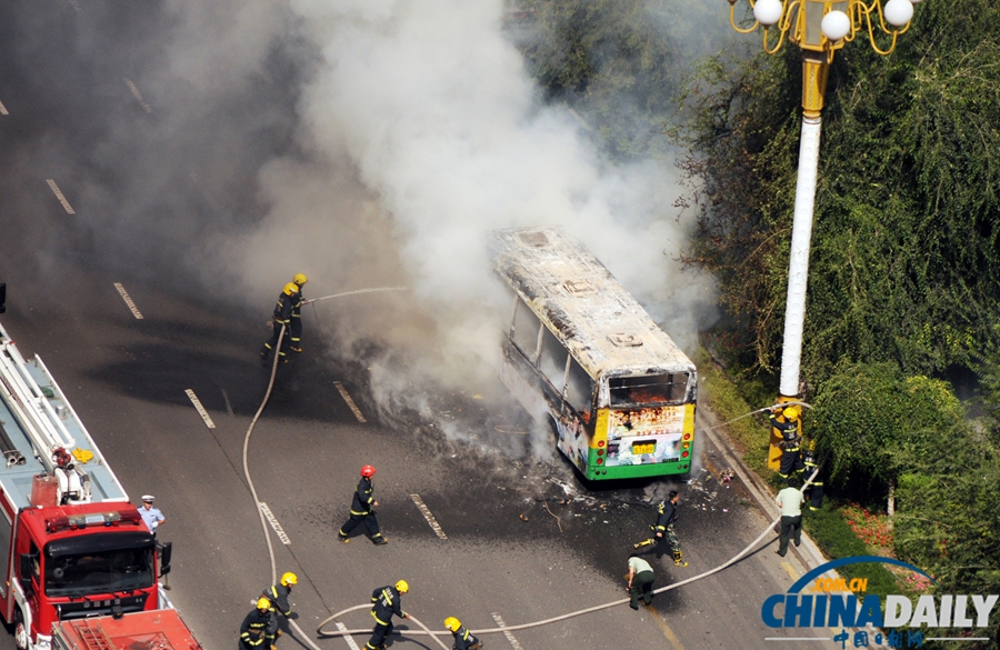中國日報一周圖片精選：8月3日—9日