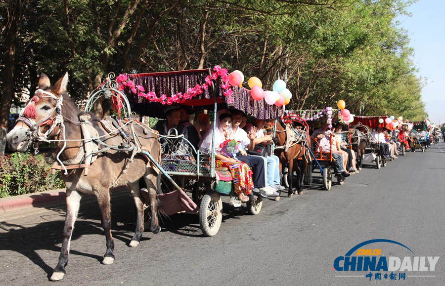 馬車集體婚禮亮相新疆吐魯番