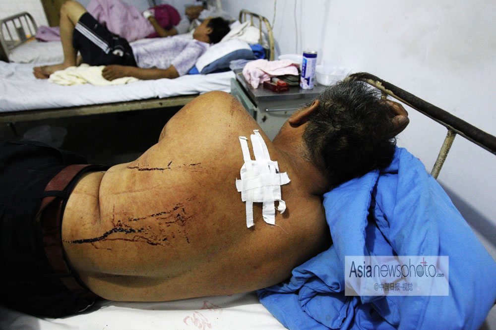 中國日報一周圖片精選：8月17日—23日