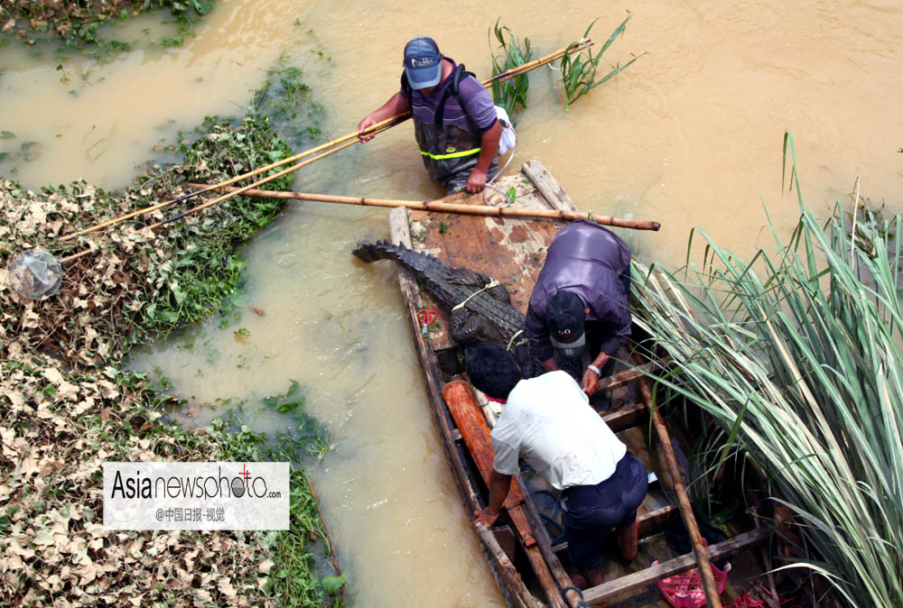 中國日報一周圖片精選：8月17日—23日