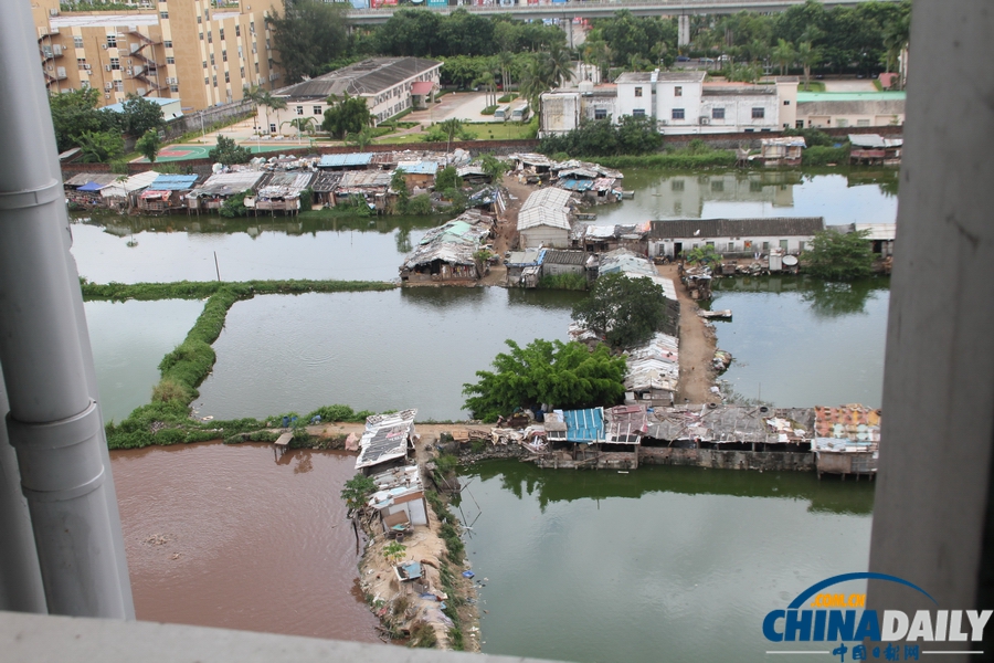 網(wǎng)曝?？谏先f斤“垃圾魚”流向市場 官方介入調(diào)查